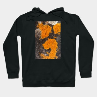 Orange Ocean Coral Fungi Texture Hoodie